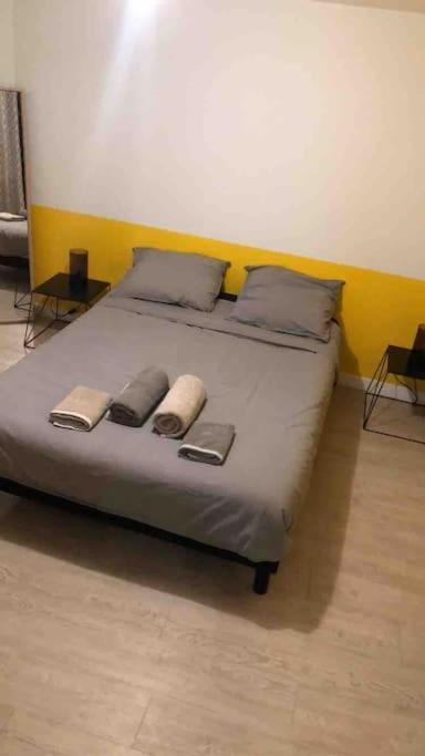 Le Berlier 60M2 + Cour Privee - Centre Historique Διαμέρισμα Ντιζόν Εξωτερικό φωτογραφία
