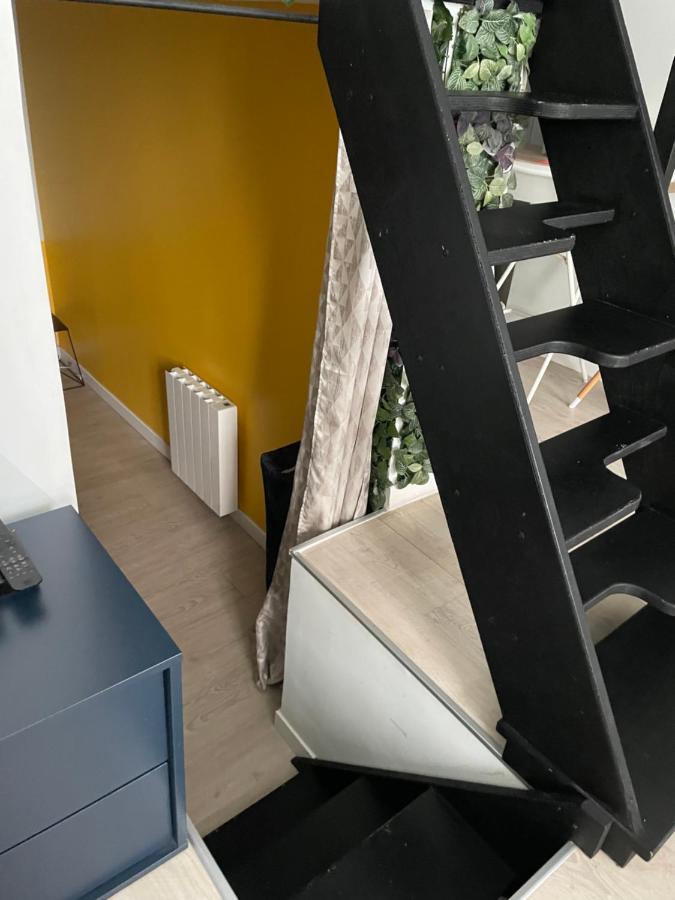 Le Berlier 60M2 + Cour Privee - Centre Historique Διαμέρισμα Ντιζόν Εξωτερικό φωτογραφία